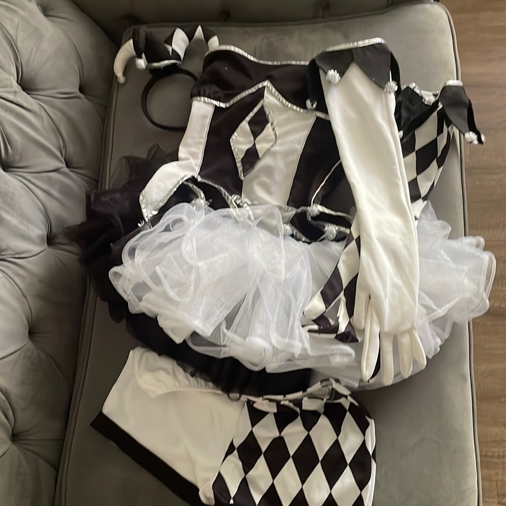 Harley Quinn black and white costume
